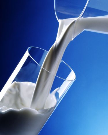 牛乳(乳製品)と胆汁と腸内細菌の関係、悩むくらいなら飲まない