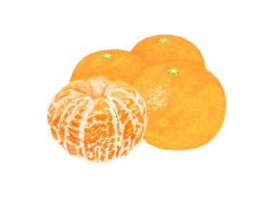 【妊活のコツ】柑橘類